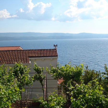 Apartmani Stanic Rosa Stanici Εξωτερικό φωτογραφία