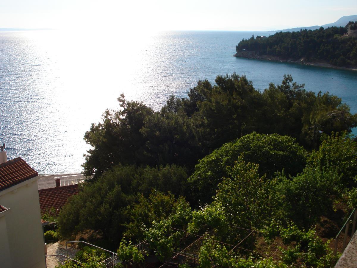 Apartmani Stanic Rosa Stanici Εξωτερικό φωτογραφία