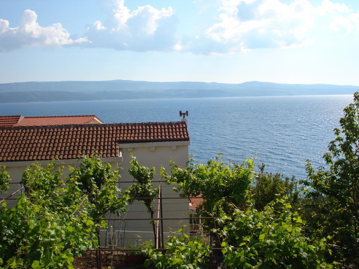 Apartmani Stanic Rosa Stanici Εξωτερικό φωτογραφία